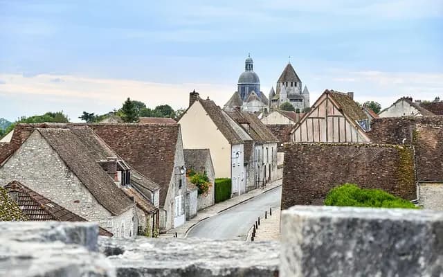Guide d'Achat pour la Maintenance des Tombes