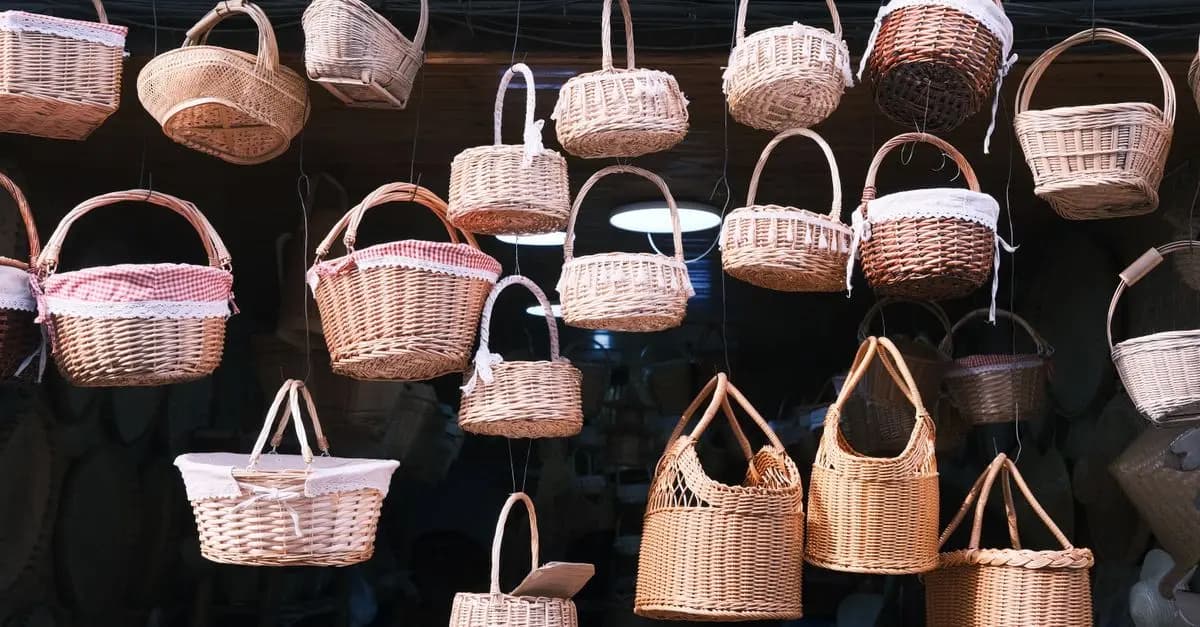 Guide d'achat des baskets écologiques tendance