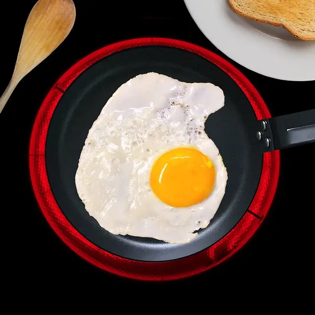 Complete Buying Guide for Induction Compatible Pans
