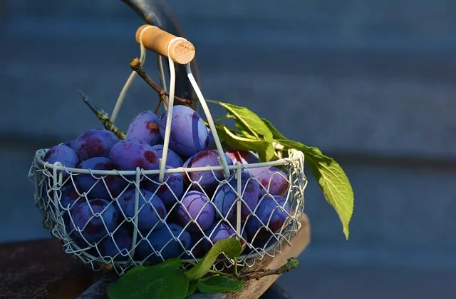Baskets USA pas chères pour petits budgets