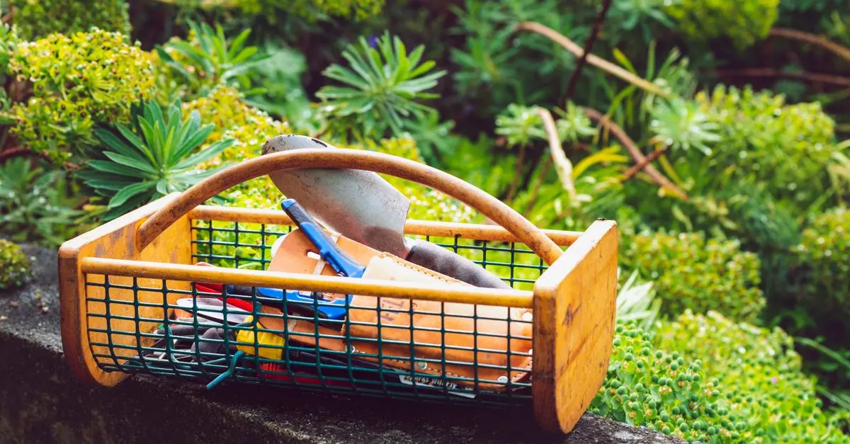 Best DIY Gardening Supplies for Your Garden