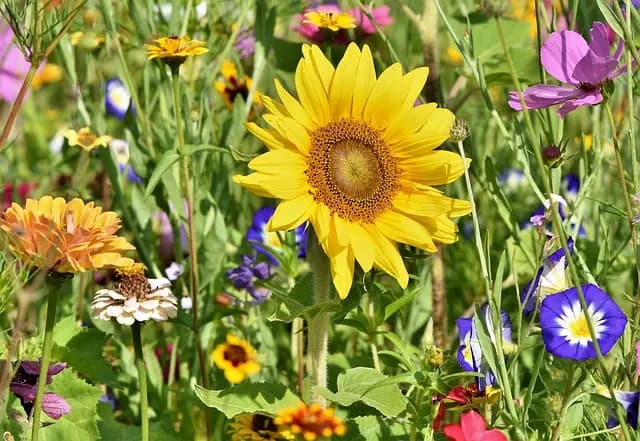 Les meilleurs rabais sur équipements de jardinage