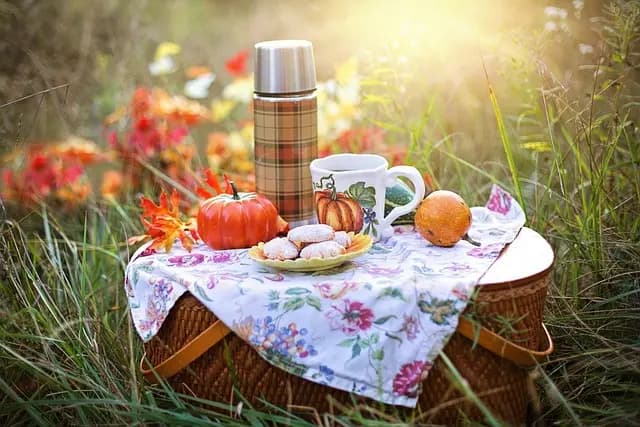 Comment choisir le meilleur plaid à franges ?