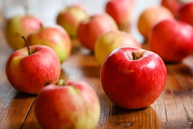 Le guide des meilleurs plats préparés bio