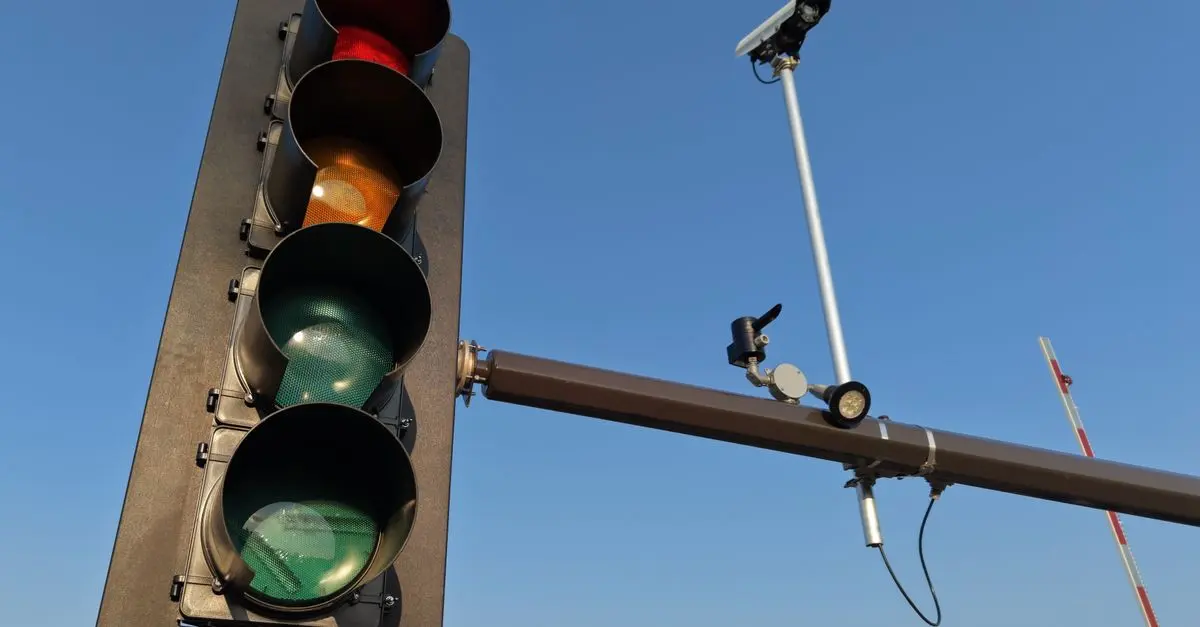 Meilleur système de surveillance pour animaux