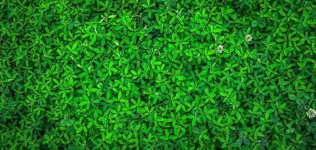 Top Eco-Friendly Beauty Products Buying Guide