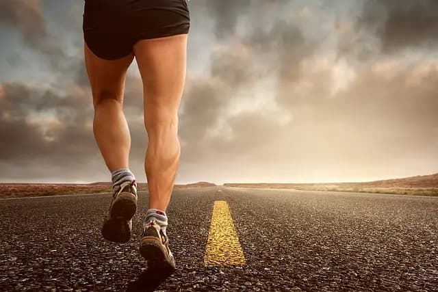 Best Running Watches for Marathon Training