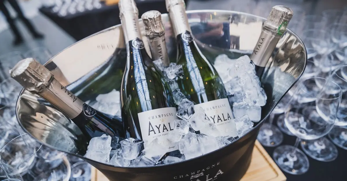 The Ultimate Guide to Choosing the Best Wine Coolers
