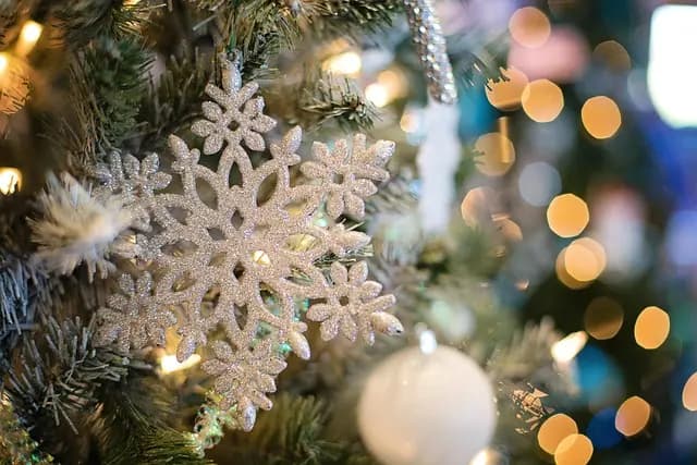 Guide d'achat : Meilleures décorations de fenêtre