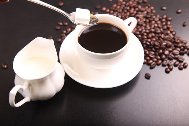 Guía Completa: Termos para Café