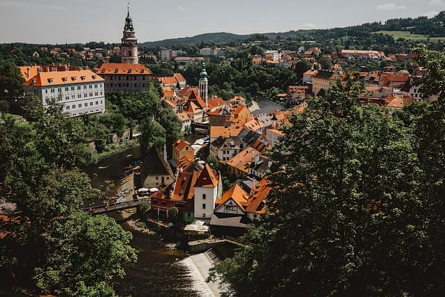 Cechy roślinożernych zwierząt - Przewodnik zakupowy