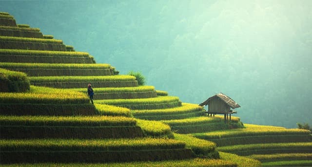 Best Sustainable Products for Eco-Friendly Living